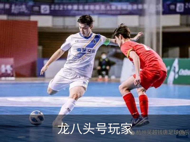 龙八头号玩家品牌故事